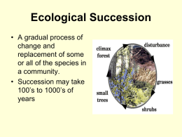 Ecological Succession - NserekoEnvironmentalScience