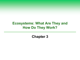 Eco. Ecosystems Ch. 3