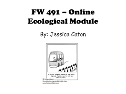 FW 491 – Online Ecological Module