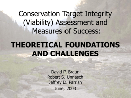 (Viability) Assessment and Measures of Success