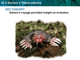 10.2 Darwin`s Observations