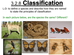 3.2.8 Classification