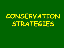 Conservation Strategies - aiss-dp-ess