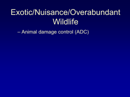 Exotic/Nuisance/Overabundant Wildlife