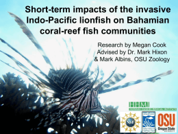 Short-term impacts of the invasive Indo-Pacific lionfish on Bahamian coral-reef fish communities