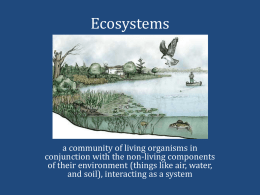 Ecosystems - Cobb Learning