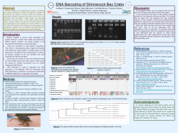 DNA Barcoding of Shinnecock Bay Crabs Authors