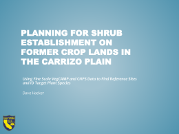 Planning for Shrub Establishment on Former Crop
