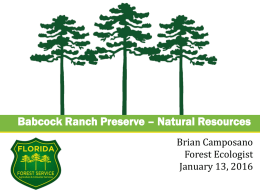 on Babcock Ranch Preserve Natural Resources