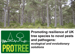 Promoting resilience of UK tree species to novel pests