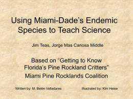 Pine Rockland Species - Miami Pine Rocklands Coalition