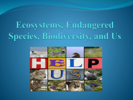 Ecosystems, Endangered Species, Biodiversity, and Us