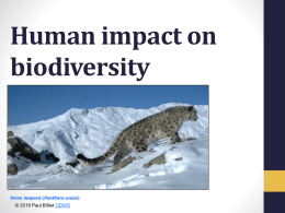 Human Impact on Biodiversity