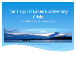 Tropical Lakes Biodiversity Crisis
