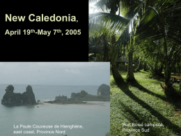 New Caledonia, April/May 2005