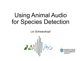 Presentation: Using animal audio for species detection