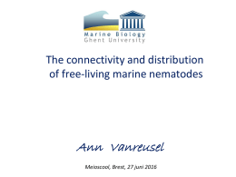 The connectivity and distribution of free-living marine