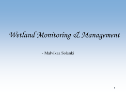 Malvika_wetland mangement and monitoring