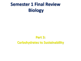 Semester 1 Final Review Biology