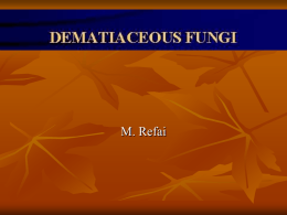 dematacious_fungi