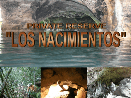 Diapositiva 1 - Los Nacimientos / Cuevas de Candelaria