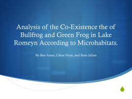Population Analysis of Bull Frogs and Green Frogs in Lake Romeyn.