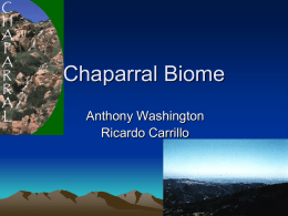 Biome Chaparralm