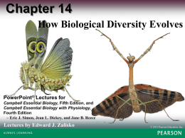 Intro Bio Chapter 14-15 Fall 2015