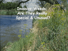 1 - Defining Invasive Weeds Ecology and Biology