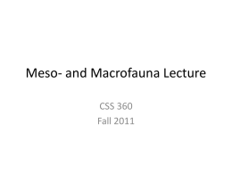 11-21 Macrofauna Lecture Cx