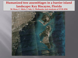 Humanized tree assemblages in a barrier island landscape: Key