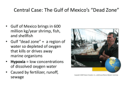 Central Case: The Gulf of Mexico*s *Dead Zone*
