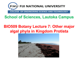 BI 102 Lecture 8 Other major algal phyla in Kingdom protista