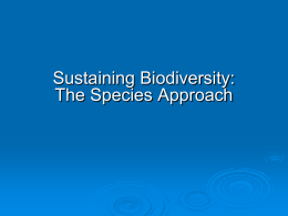 speciesbiodiversity - Otterville R