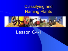 Classifying and Naming Plants