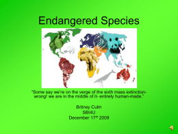 Endangered: Wildlife on the Brink of Extinction.
