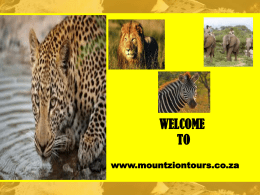 WELCOME TO www.mountziontours.co.za Kruger National Park