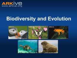 Mammalian species diversity exercise