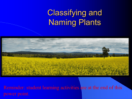 Classifying and Naming Plants