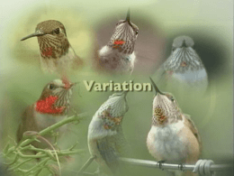 Variation, Inheritance and Evolution