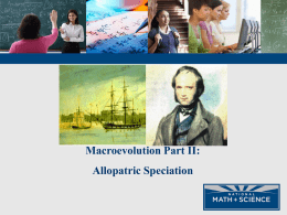 Macroevolution Part II Allopatric Speciation