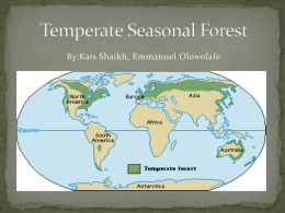 Temperate Seasonal Forest Finalx