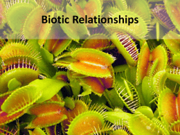 Biotic Relationships