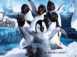 Penguins- Kenneth Logan