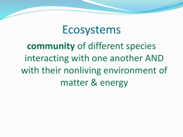 Ecosystems_Studentx