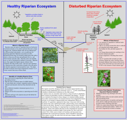 What is a Riparian Zone?
