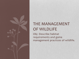 The management of wildlife