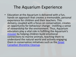 Aquarium PowerPoint That was shown in class