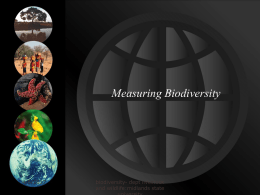 measuring biodiversity - Midlands State University