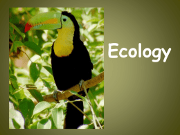 Ecology Notes - The Norman Howard School